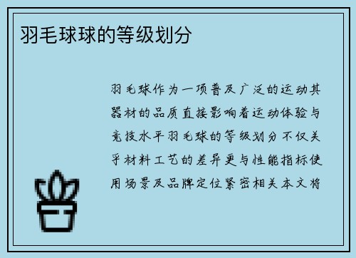 羽毛球球的等级划分